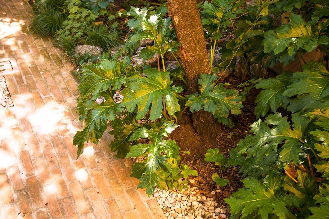 Apartament Urban Jungle Bolonia Zewnętrze zdjęcie