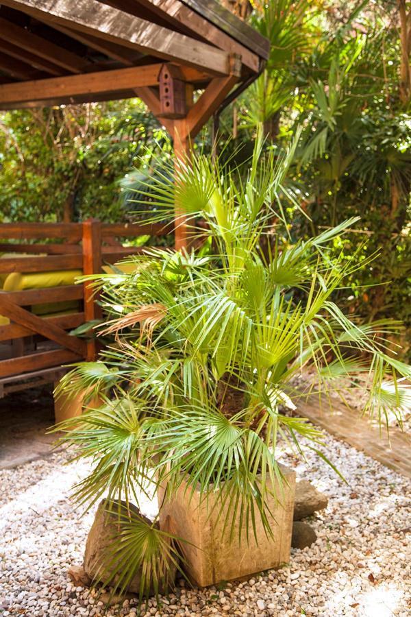 Apartament Urban Jungle Bolonia Zewnętrze zdjęcie